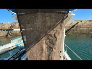 ヤンマー はやしおDE25B