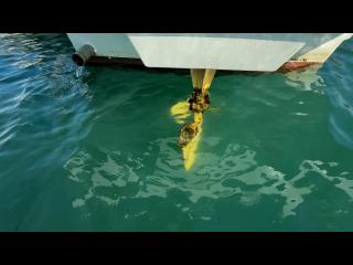 ヤンマー はやしおDE25B