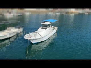 ヤンマー とびうおDE26HZ-IK