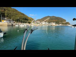 ヤンマー とびうおDE26HZ-IK