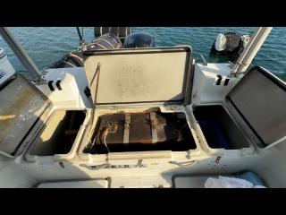 ヤマハ UF-25(タックル25)