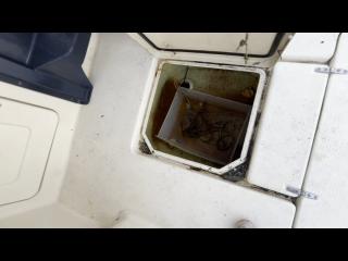 ヤマハ FR24(EU5-A1)