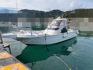 ヤンマー FX24トップラン