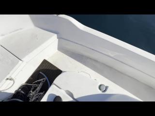 ヤンマー FX24トップラン