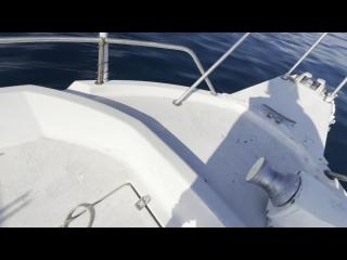 ヤンマー FX24トップラン