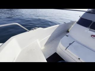 ヤンマー FX24トップラン