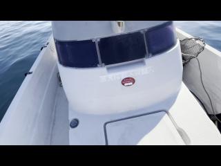 ヤンマー FX24トップラン