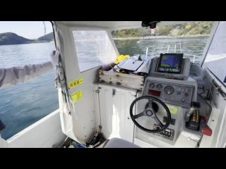 ヤンマー FX24トップラン