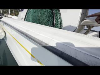 ヤンマー FX24トップラン