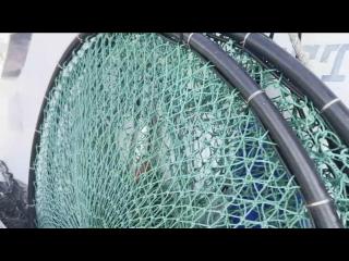 ヤンマー FX24トップラン