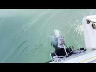 ヤンマー FX24トップラン