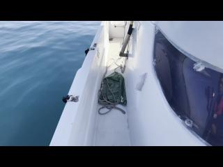 ヤンマー FX24トップラン