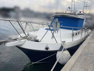 アルビン 28 ゲッタウェイ