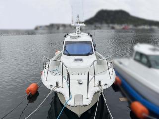 ヤンマー EX38A-BS