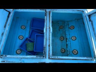 江川造船所 48フィート