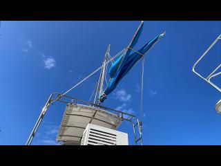 ヤンマー EX35Ⅱ