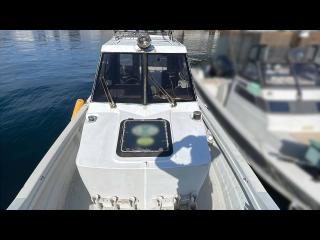 ヤンマー はやかぜEX26Z