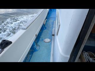 ヤマハ DY29C(GBR)