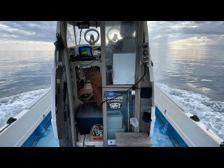 ヤマハ DY29C(GBR)