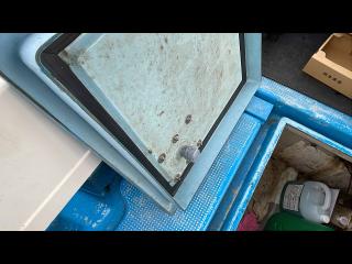 ヤマハ DY29C(GBR)