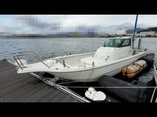 ヤンマー はやかぜEX26B-BS