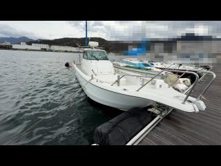 ヤンマー はやかぜEX26B-BS