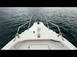 ヤンマー はやかぜEX26B-BS