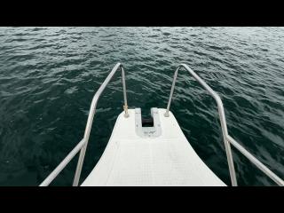 ヤンマー はやかぜEX26B-BS