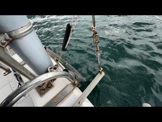 ヤンマー はやかぜEX26B-BS