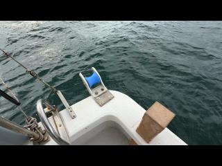 ヤンマー はやかぜEX26B-BS