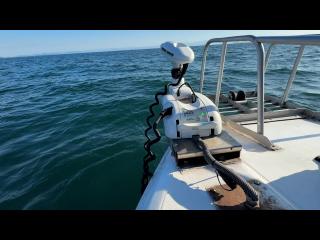 ニッサン サンキャット7.7FB