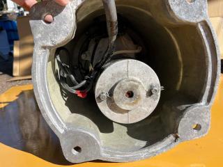 岩崎電気工業ヤングローラー12V500W