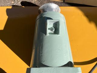  岩崎電気工業ヤングローラー12V250W