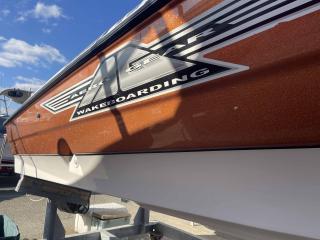 ヤマハ エアロギアAG21-BRバウライダー