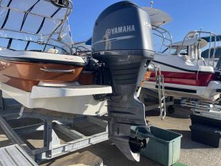 ヤマハ エアロギアAG21-BRバウライダー