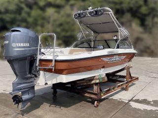 ヤマハ エアロギアAG21-BRバウライダー