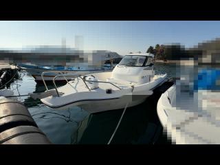 ニッサン ウイングフィッシャー21