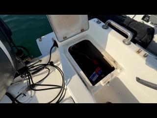 ニッサン ウイングフィッシャー21