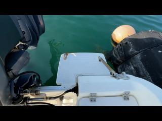 ニッサン ウイングフィッシャー21