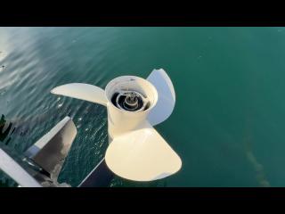 ニッサン ウイングフィッシャー21