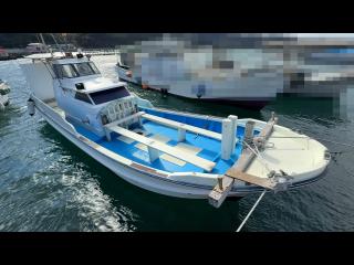 ヤンマー はやしおDE31B