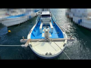 ヤンマー はやしおDE31B