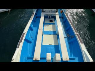 ヤンマー はやしおDE31B