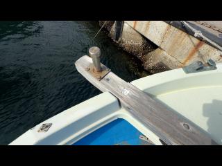 ヤンマー はやしおDE31B