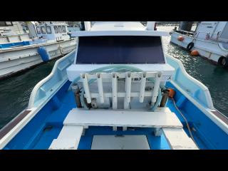 ヤンマー はやしおDE31B