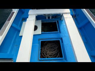 ヤンマー はやしおDE31B