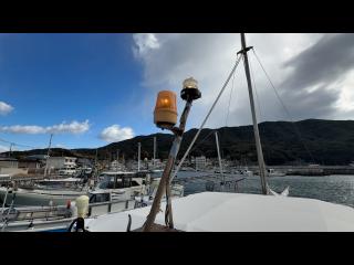 ヤンマー はやしおDE31B