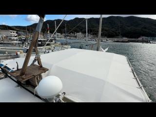 ヤンマー はやしおDE31B