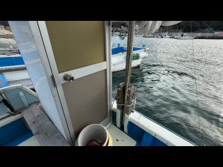 ヤンマー はやしおDE31B