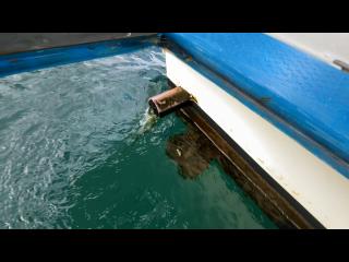 ヤンマー はやしおDE31B